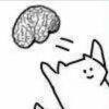评论头像