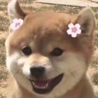 QQ头像