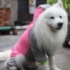 波场能量租赁