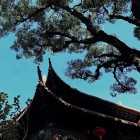 QQ头像