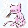 重庆网友10666