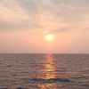 海南网友66890