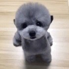 QQ头像