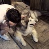 天津网友62780