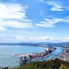河南网友81793