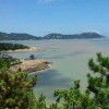 四川网友95339
