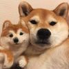 请问请问