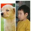 重庆网友93385