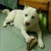 广西网友47121