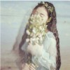 广东网友60715