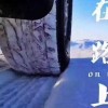 评论头像