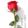 山东网友59420