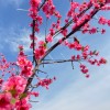 宁夏网友32035