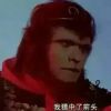 西藏网友56215