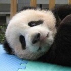 QQ头像