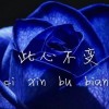 天津网友97333