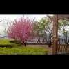 香港网友65417