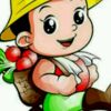 甘肃网友34932