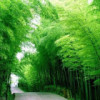 山西网友10400