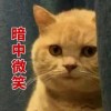 贵州网友50777
