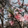山西网友16334