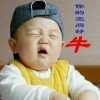 江西网友77168