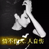 山东网友99578