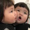 甘肃网友88153