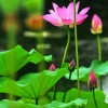 澳门网友78791