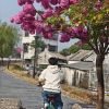 辽宁网友63849