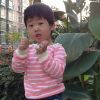 吉林网友57119