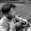 辽宁网友56513