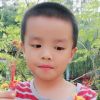 山东网友34483