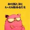 江苏网友52494