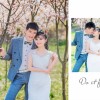 海南网友24008