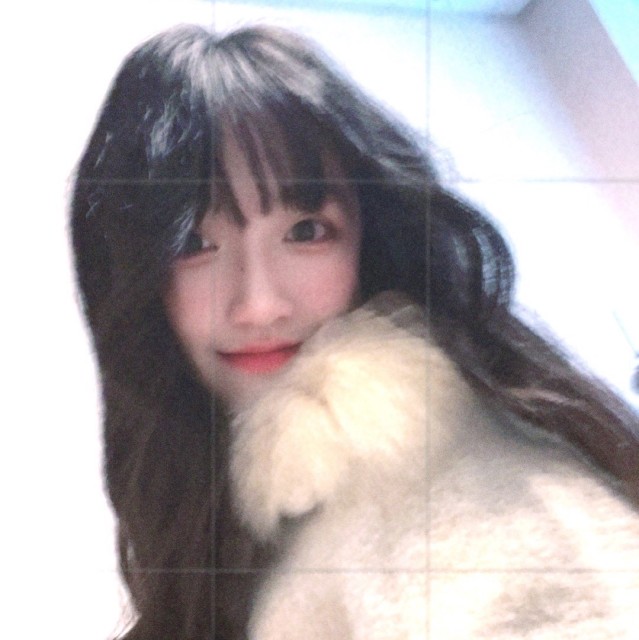 QQ Email Avatar