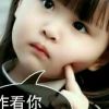 台湾网友84388