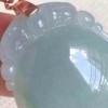 甘肃网友58124