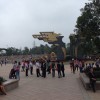 重庆网友71652
