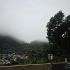 QQ头像