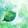 湖南网友64592