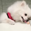 广西网友80507