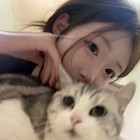 QQ头像