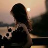 宁夏网友10026