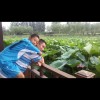 台湾网友31172