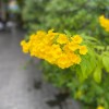 北京网友22114