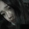 河南网友94610