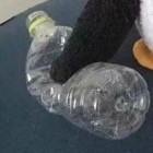 QQ头像