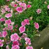 四川网友60426