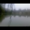 广西网友57572